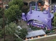 Ten shows to see at Udderbelly