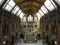 Natural History Museum