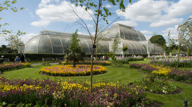 Kew's Summer Festival: IncrEdibles