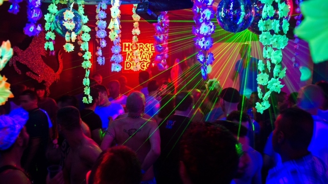 Horse Meat Disco