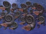 Extinction: Not the End of the World