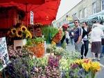A pocket-friendly stroll through Columbia Road Flower Market