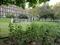 New Square