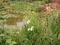Red Cross Garden