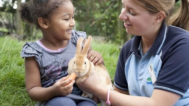 Outdoor activities for kids