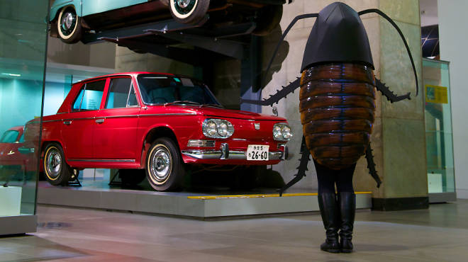 Science Museum: the Cockroach Tour