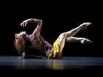 Sylvie Guillem: 6000 Miles Away