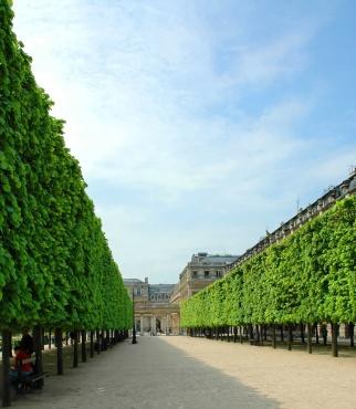 Palais Royal, 75001 Paris.