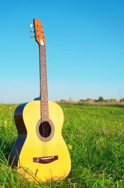 Chanson Française, Variété