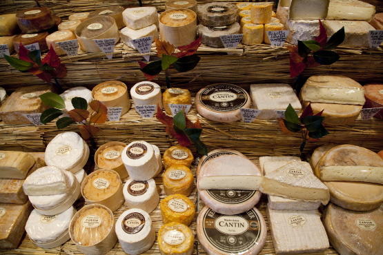 Marie Anne Cantin Cheese