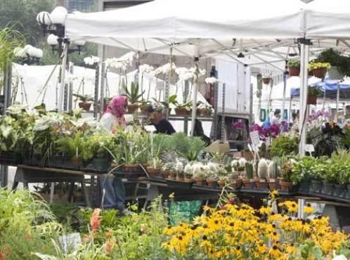 Union Square market