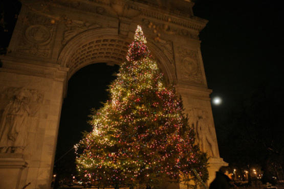 Washington Square Park Christmas Tree