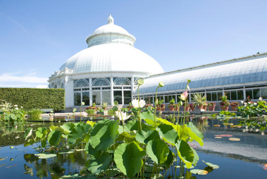 New York Botanical Garden