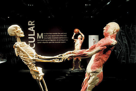 TORN BETWEEN TWO LOVERS "Bodies" won't tug at your heartstrings, but it may...