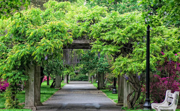 Brooklyn Botanic Garden
