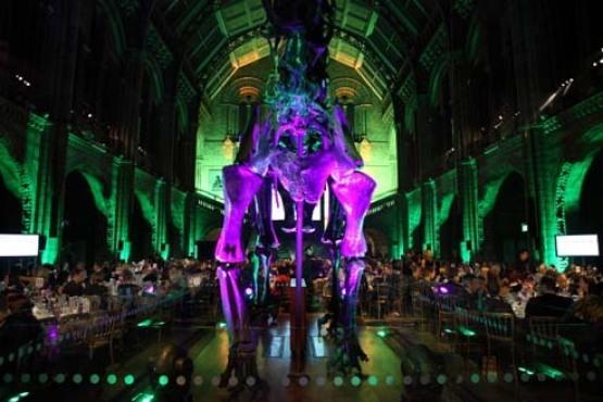Last year's International Green Awards gala