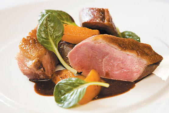 Roasted duck breast with duck cannoli, apricots and chocolate-peppercorn vinaigrette