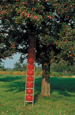  Roman Signer, Leiter/Ladder
