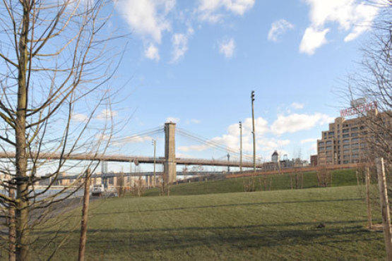 Pier 1 Park (Photography courtesy Brooklyn Bridge Park)