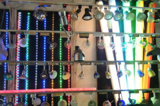Bulbs World