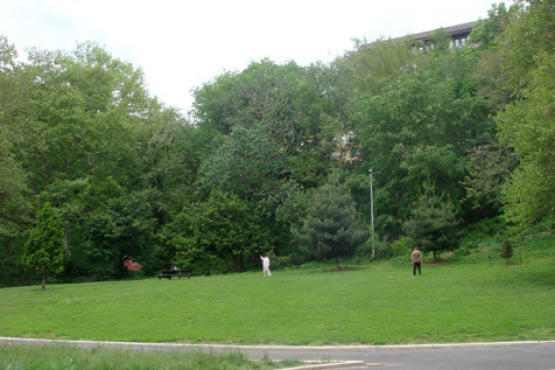Morningside Park