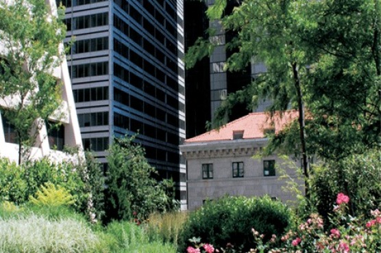 Elevated Acre