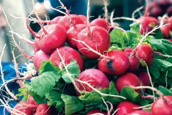 Union Square Greenmarket