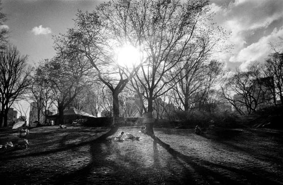 Central Park, March 2012