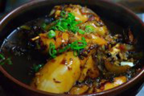 Galanga