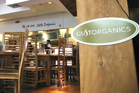 Gusto Grilled Organics