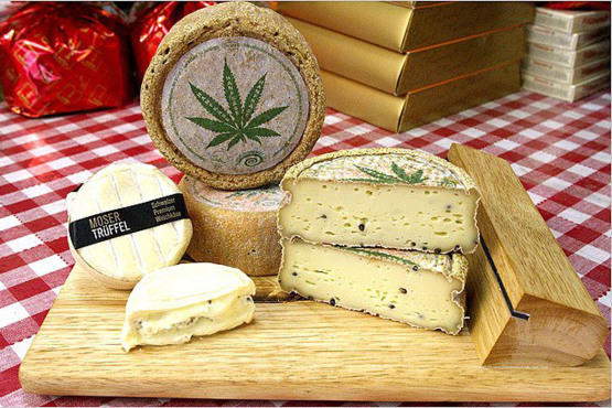 Ideal Cheese Shop