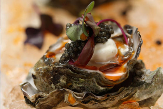 Ocean Grill