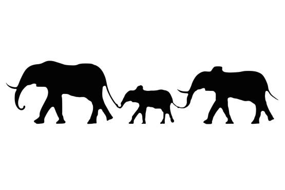 Ode to the Elephants