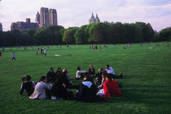 Sheep Meadow in Central Park