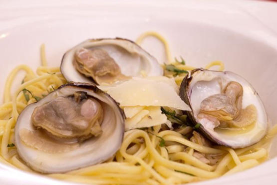 Shaffer City Oyster Bar & Grill