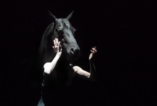 Le Centaure et l'animal