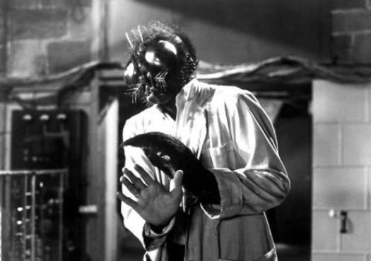 La Mouche noire