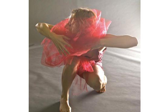 DanceNow festival, Anata Project