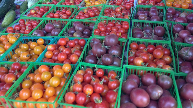 Hollywood Farmer's Market