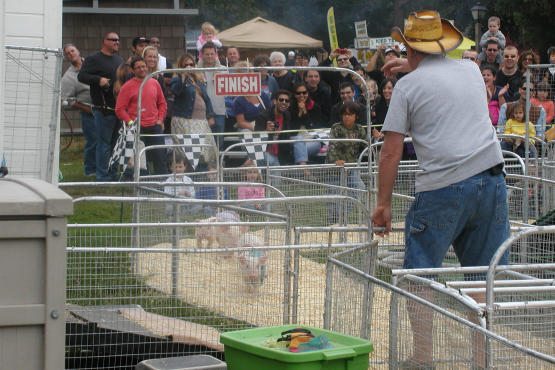 Queens County Fair