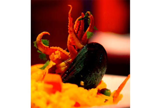 Surfish Bistro