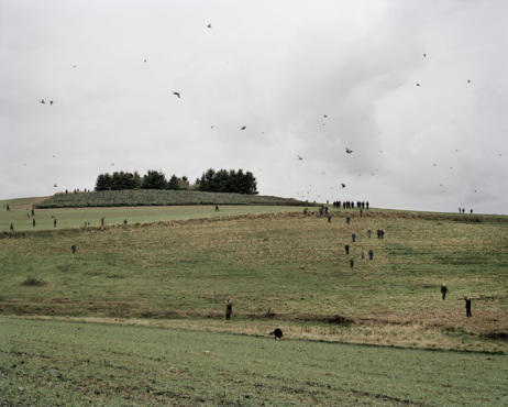 Exposition 'How to hunt' à la Maison du Danemark