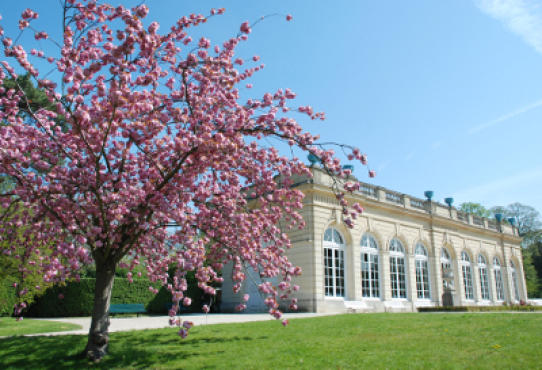Orangerie du parc de Bagatelle