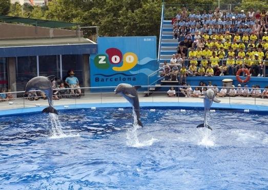 Zoo