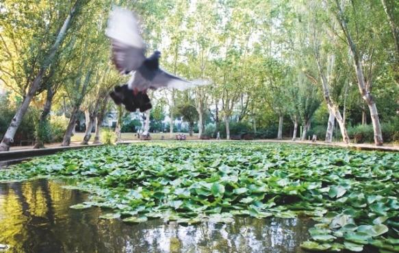 Barcelona's open air museums