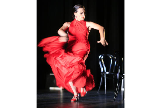 Noche Flamenca, Soledad Barrio