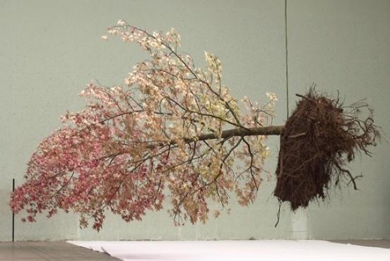 Exposition 'L'Arbre de vie'