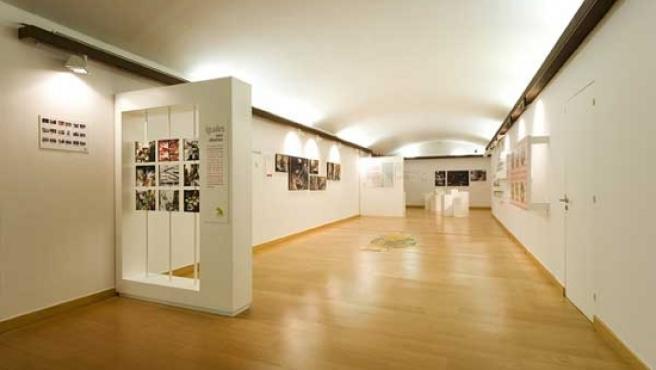 Espai Cultural Obra Social Caja Madrid