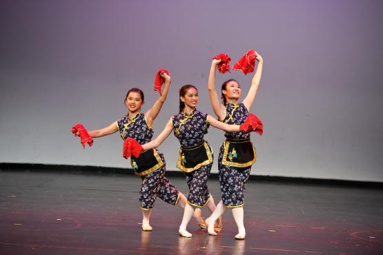Lunar New Year Festival