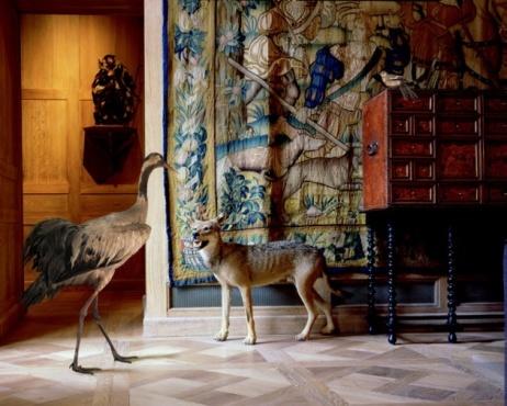 Musée de la Chasse (Karen Knorr)